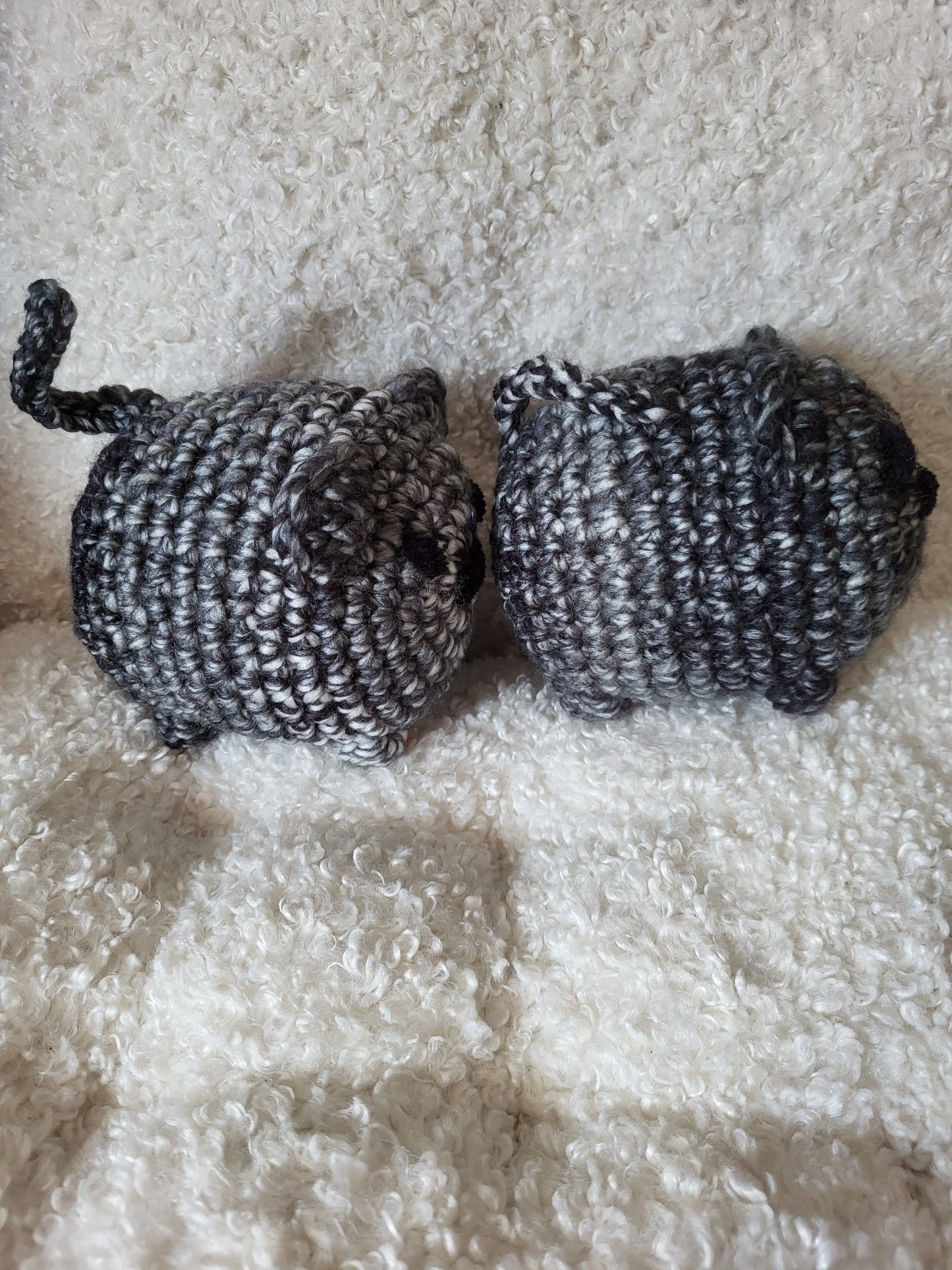Grote Katten